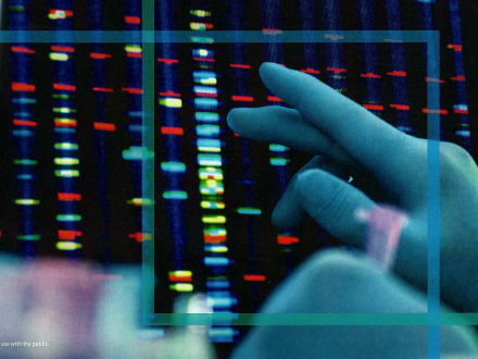 Clipping of brochure cover